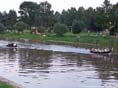 medeltid_2010_26