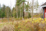 Mariavägen bild 11